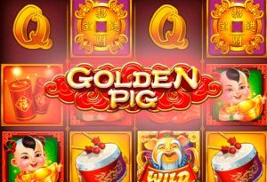 Golden Pig